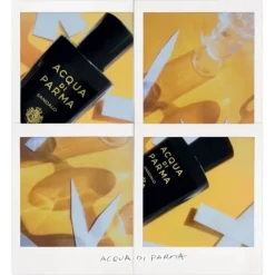 Parfum Mixte>ACQUA DI PARMA Signature Sandalo                Eau de Parfum
