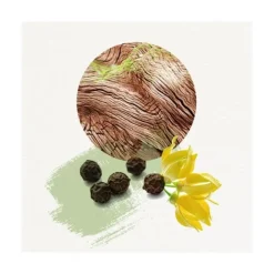 Eau De Toilette>Annayaké Dojou For HIm                Eau de Toilette