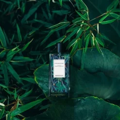 Parfum Mixte><noscript><img width=