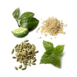 Eau De Parfum><noscript><img width=