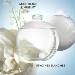 Eau De Toilette>Cacharel Noa                Eau de Toilette