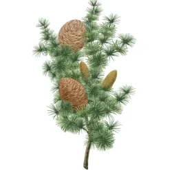 Parfum D'Ambiance & Diffuseur D'Intérieur><noscript><img width=