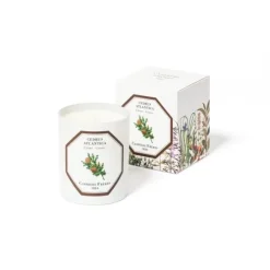 Bougie Parfumée>Carrière Frères Cèdre - Cedrus Atlantica                Bougie Parfumée