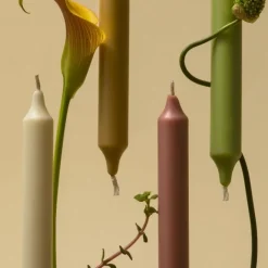 Chandelle & Cierge><noscript><img width=