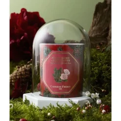 Accessoires Maison><noscript><img width=