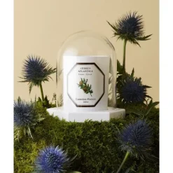 Accessoires Maison><noscript><img width=