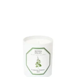 Bougie Parfumée>Carrière Frères Menthe Verte - Mentha Spicata                Bougie Parfumée