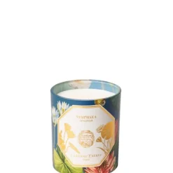 Bougie Parfumée>Carrière Frères Nenuphar - Nymphaea                Bougie Parfumée