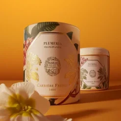 Bougie Parfumée><noscript><img width=