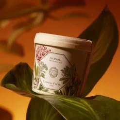 Bougie Parfumée><noscript><img width=