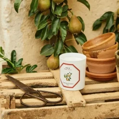 Bougie Parfumée><noscript><img width=