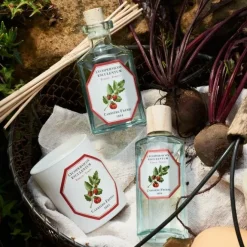 Parfum D'Ambiance & Diffuseur D'Intérieur><noscript><img width=