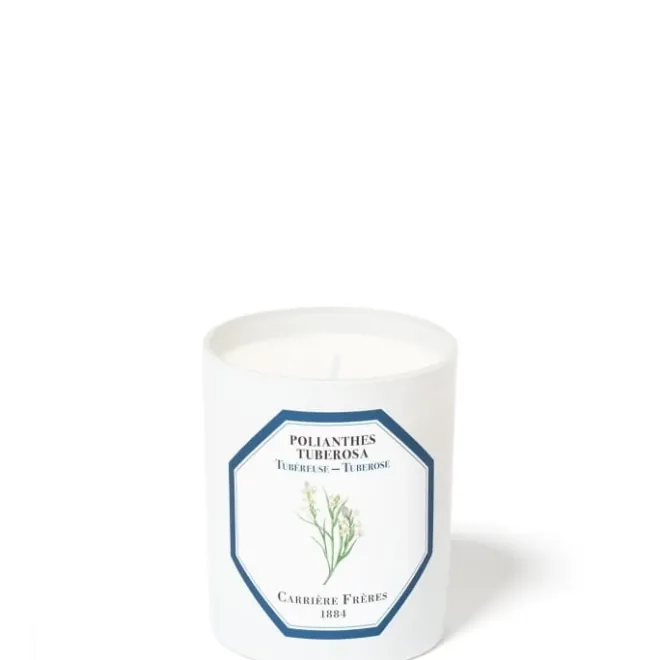 Bougie Parfumée>Carrière Frères Tubéreuse - Polientes Tuberosa Bougie Parfumée