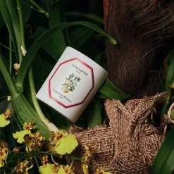 Bougie Parfumée><noscript><img width=