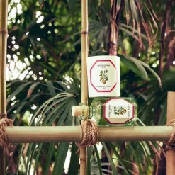 Bougie Parfumée><noscript><img width=