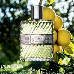 Eau De Toilette><noscript><img width=