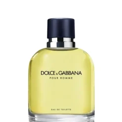 Eau De Toilette>Dolce&Gabbana pour Homme                Eau de Toilette