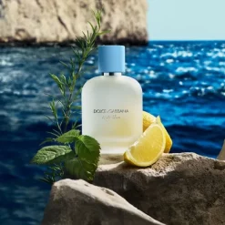 Eau De Toilette><noscript><img width=