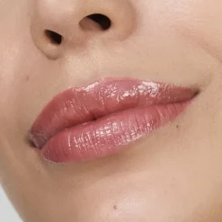 Gloss><noscript><img width=