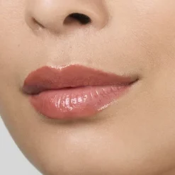 Gloss><noscript><img width=