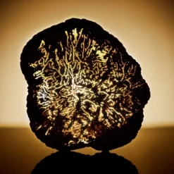 Soin Yeux & Lèvres|Sérum Et Booster><noscript><img width=