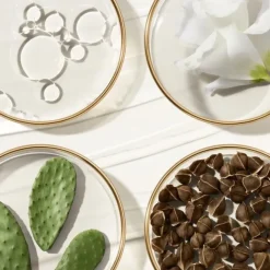 Soin Cou & Décolleté|Soin Jour & Nuit>ESTEE LAUDER Revitalizing Supreme+                Crème Délicate Révélatrice de Jeunesse