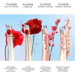 Eau De Parfum><noscript><img width=