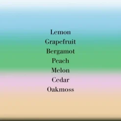 Parfum Mixte|Eau De Parfum><noscript><img width=