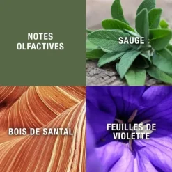 Eau De Toilette><noscript><img width=