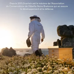 Protecteur Solaire|Soin De Jour><noscript><img width=