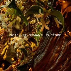 Parfum Mixte><noscript><img width=