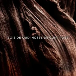 Parfum Mixte>GUERLAIN Absolus Allegoria Oud Essentiel                Eau de Parfum