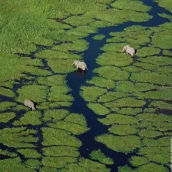 Parfum Naturel & Eco-Responsable|Eau De Toilette><noscript><img width=