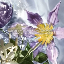 Parfum Naturel & Eco-Responsable|Eau De Toilette><noscript><img width=