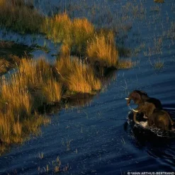 Parfum Naturel & Eco-Responsable|Parfum Recharge><noscript><img width=