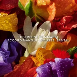 Parfum Naturel & Eco-Responsable|Parfum Recharge><noscript><img width=