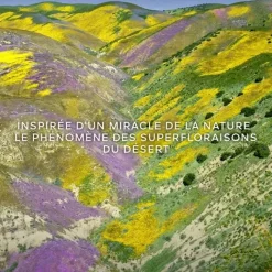 Parfum Naturel & Eco-Responsable|Parfum Recharge><noscript><img width=