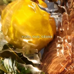 Parfum Naturel & Eco-Responsable|Eau De Parfum><noscript><img width=