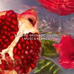 Parfum Naturel & Eco-Responsable|Eau De Toilette><noscript><img width=