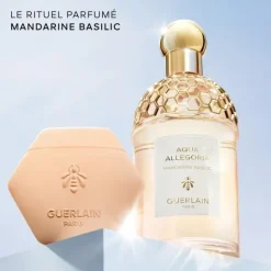 Parfum Naturel & Eco-Responsable|Gamme Complémentaire Parfumée><noscript><img width=
