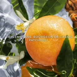 Eau De Toilette><noscript><img width=