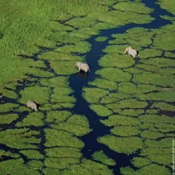 Eau De Toilette><noscript><img width=