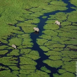 Parfum Naturel & Eco-Responsable|Eau De Toilette><noscript><img width=