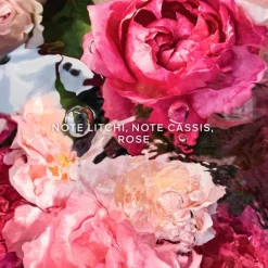 Parfum Naturel & Eco-Responsable|Eau De Toilette><noscript><img width=