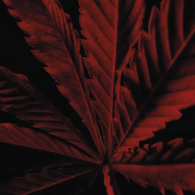 Eau De Toilette>GUERLAIN Habit Rouge L'Instinct Eau de Toilette Intense