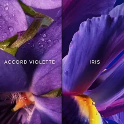 Eau De Toilette><noscript><img width=