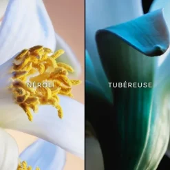 Eau De Parfum><noscript><img width=