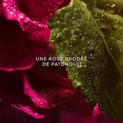 Eau De Parfum><noscript><img width=