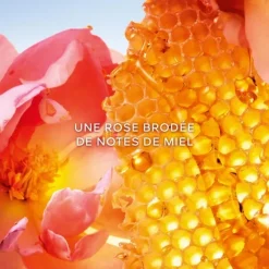 Eau De Parfum><noscript><img width=