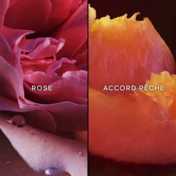 Eau De Parfum><noscript><img width=